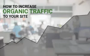 How Our SEOMasterz Strategy Increased Organic Traffic